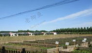 乡镇上面想要创业赚钱，做什么比较好？