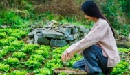 在农村想要创业赚钱，搞什么比较好？