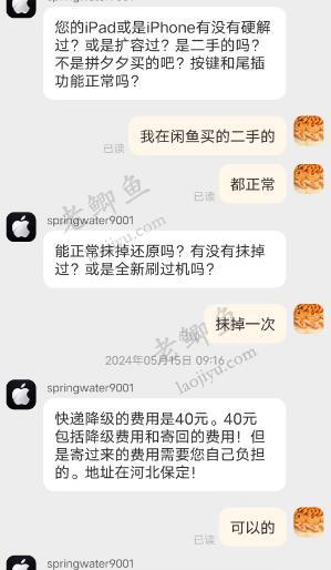 200元买了一个苹果mini平板，降级系统真香！配图