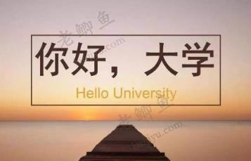普通的学生报考什么专业可以逆天改命？配图
