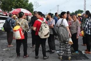 50岁的人找不到赚钱行业，自己干什么能赚钱？配图