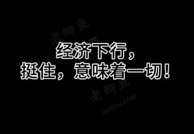 经济下行做什么好？可以试试这两个配图