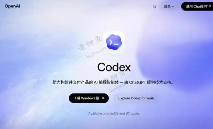 在国内如何使用安装codex,codex国内安装攻略方法配图 在国内如何使用安装codex,codex国内安装攻略方法配图